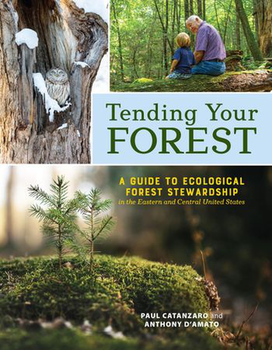Tending Your Forest - A Guide to Ecological Forest Stewardship in the Eastern and Central United States (ebok) av Paul Catanzaro