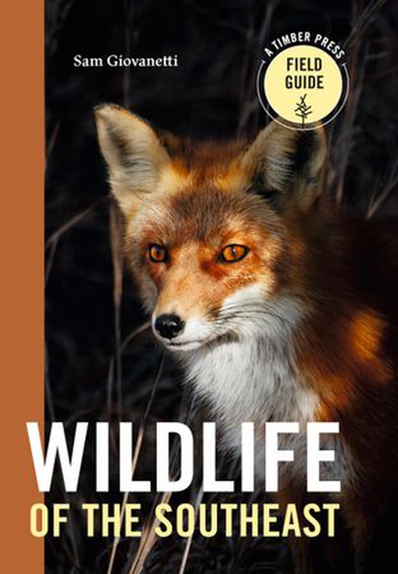 Wildlife of the Southeast - A Timber Press Field Guide (ebok) av Sam Giovanetti
