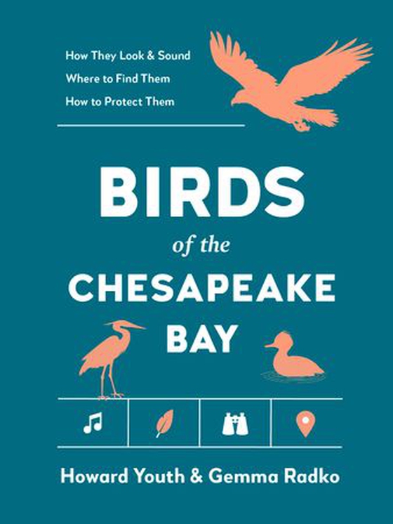 Birds of the Chesapeake Bay (ebok) av Howard Youth