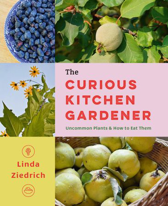 The Curious Kitchen Gardener - Uncommon Plants and How to Eat Them (ebok) av Linda Ziedrich