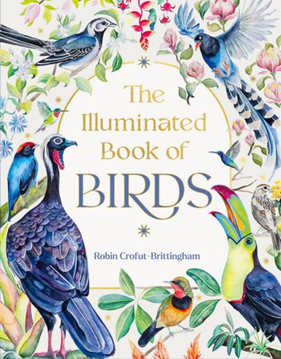 The Illuminated Book of Birds (ebok) av Robin Crofut-Brittingham