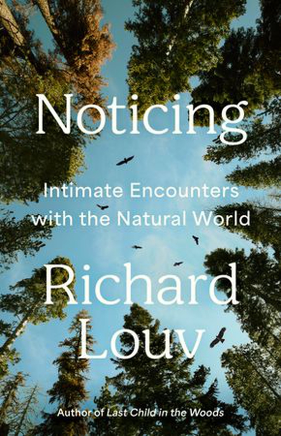 Noticing