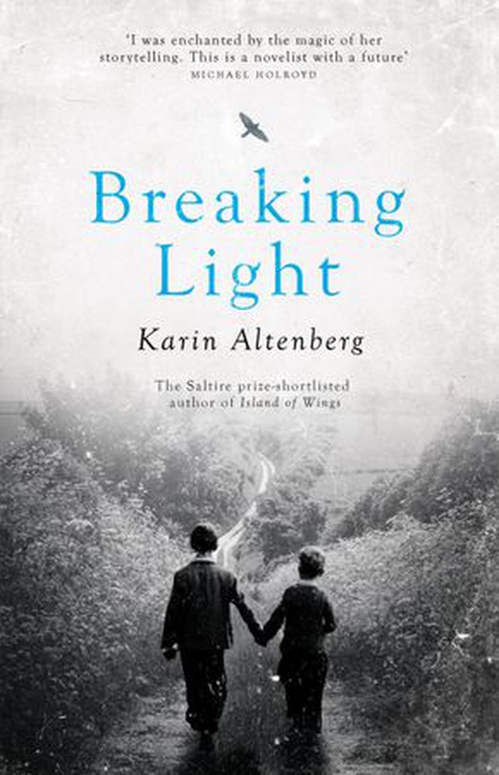 Breaking Light (ebok) av Karin Altenberg
