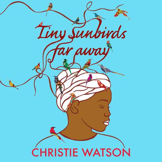 Tiny Sunbirds Far Away