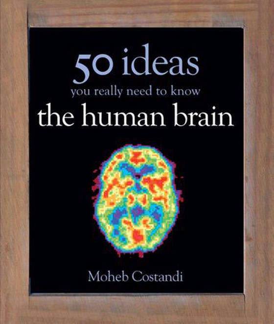 50 Human Brain Ideas You Really Need to Know (ebok) av Moheb Costandi