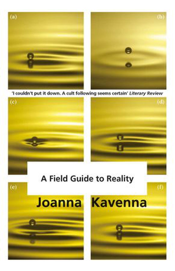 A Field Guide to Reality (ebok) av Joanna Kavenna