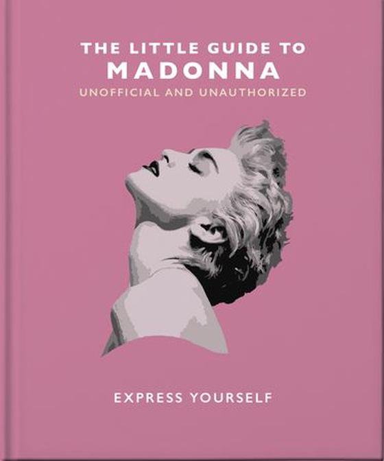 The little guide to madonna