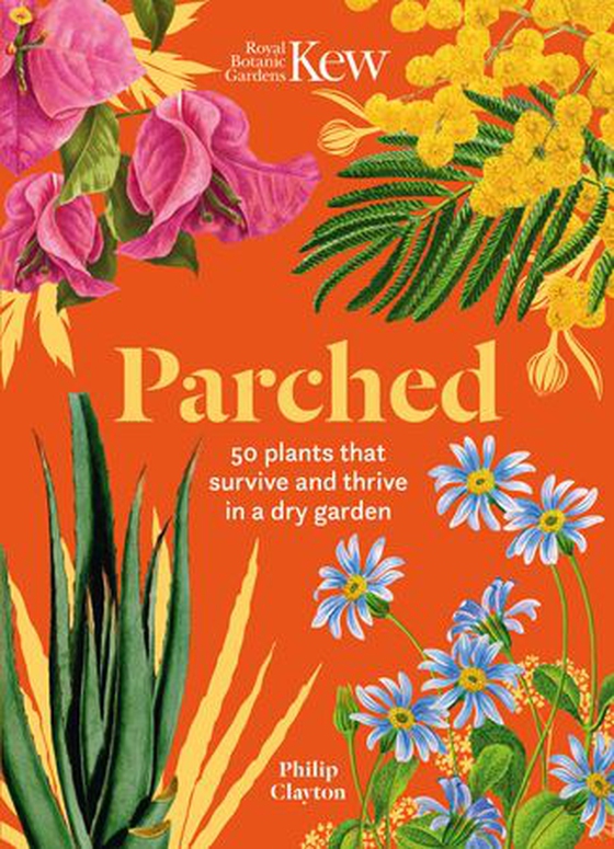 Parched - 50 plants that thrive and survive in a dry garden (ebok) av Philip Clayton