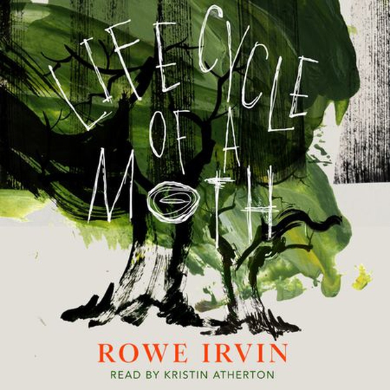 Life Cycle of a Moth
