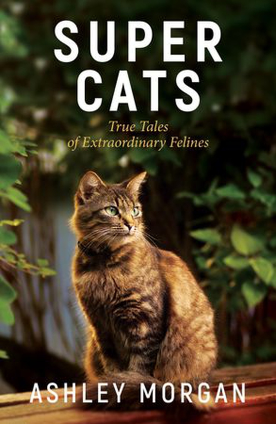 Super Cats - Inspirational True Stories of Real-Life Cat Heroes That Will Melt Your Heart (ebok) av Ashley Morgan