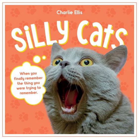 Silly Cats - A Ridiculous Collection of the World's Goofiest Cats and Most Relatable Memes (ebok) av Summersdale Publishers