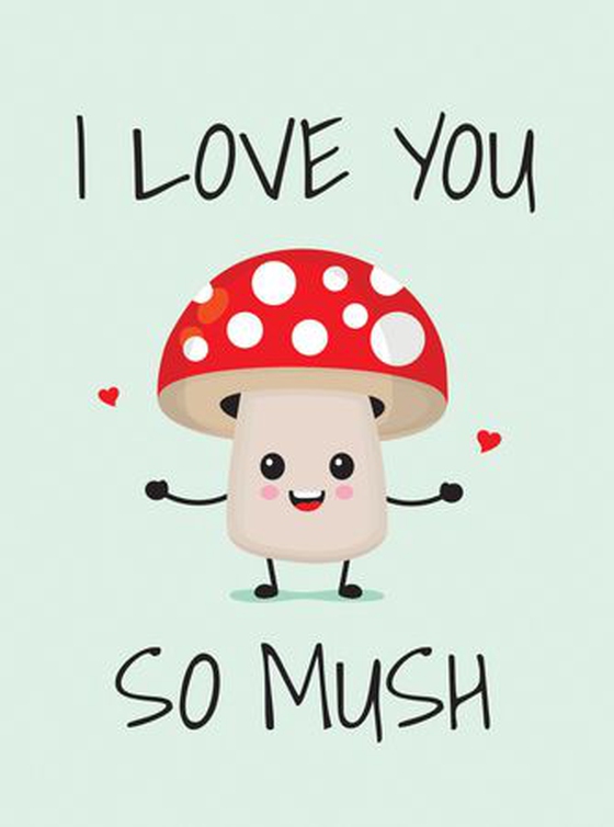 I Love You So Mush - Punderful Ways to Say "I Love You" (ebok) av Summersdale Publishers