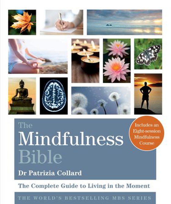 The Mindfulness Bible - The Complete Guide to Living in the Moment (ebok) av Patrizia Collard