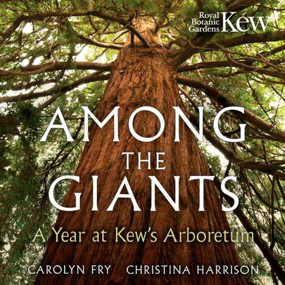 Among the Giants