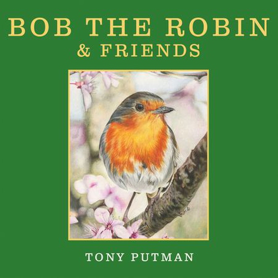 Bob the Robin & Friends