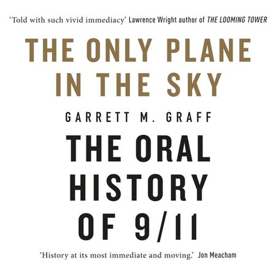 The Only Plane in the Sky