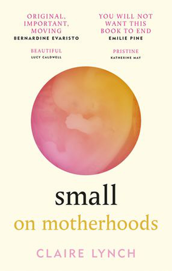 Small: On Motherhoods - 'A beautiful perfect book' PHILIPPA PERRY (ebok) av Claire Lynch