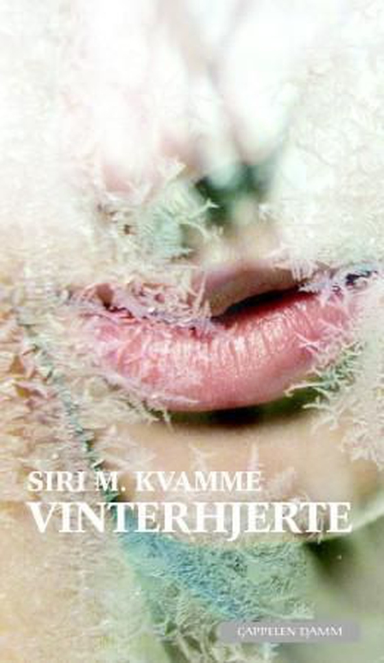 Vinterhjerte