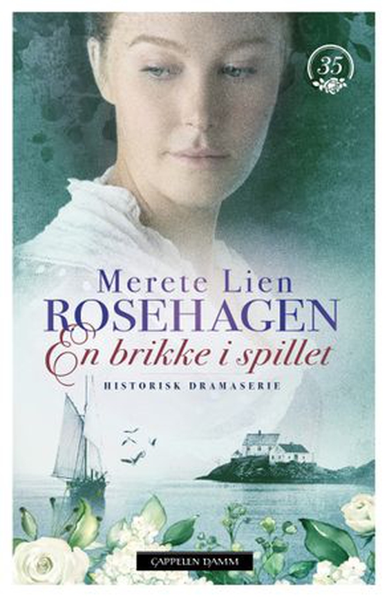En brikke i spillet (ebok) av Merete Lien