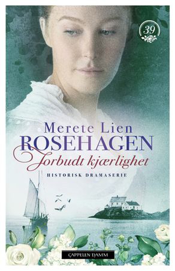 Forbudt kjærlighet (ebok) av Merete Lien