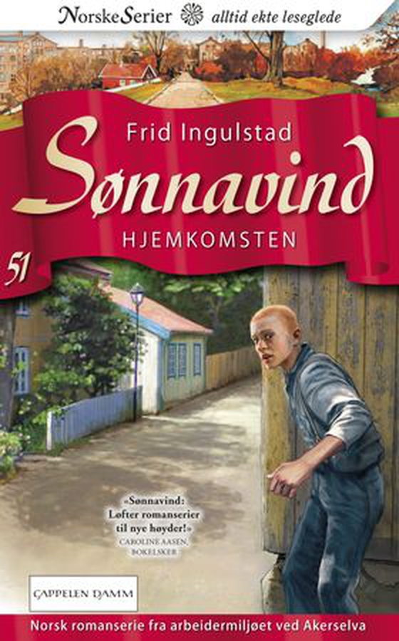 Hjemkomsten (ebok) av Frid Ingulstad