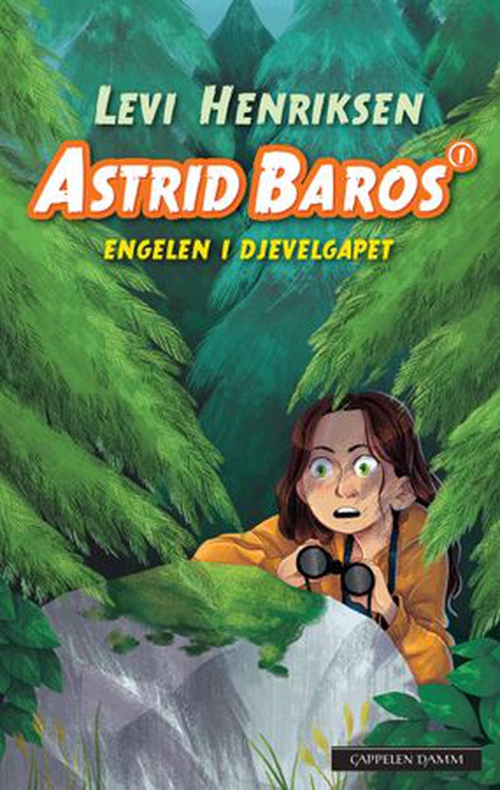 Engelen i djevelgapet (ebok) av Levi Henriksen