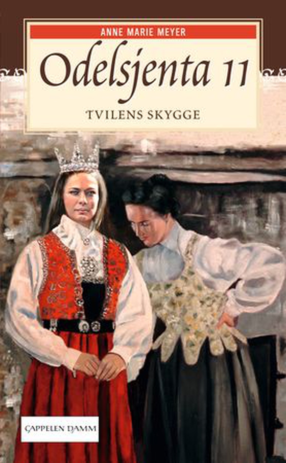 Tvilens skygge (ebok) av Anne Marie Meyer