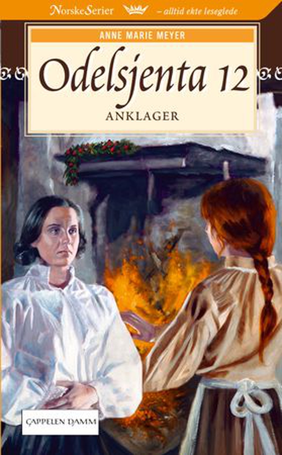 Anklager (ebok) av Anne Marie Meyer