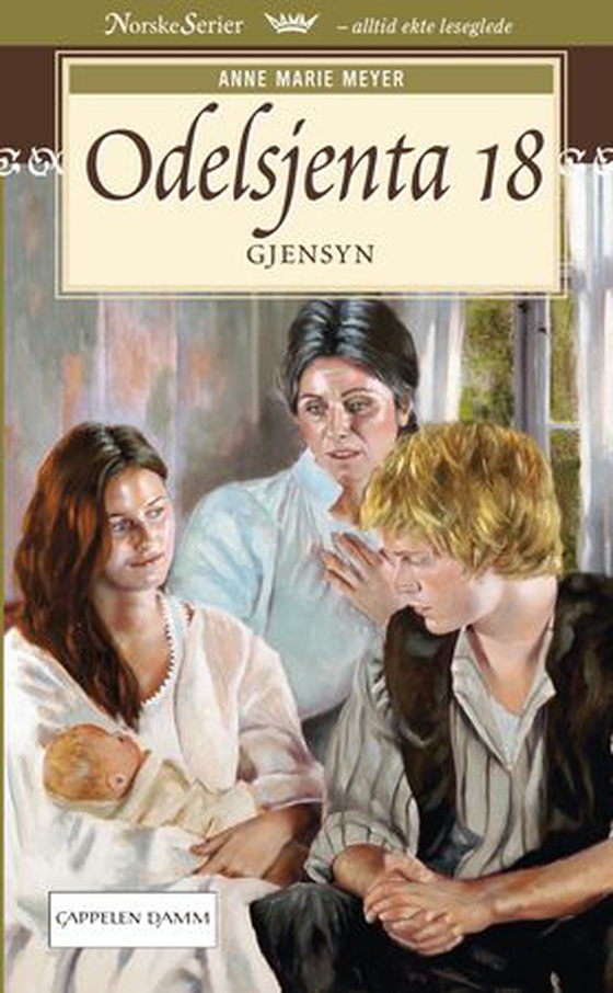 Gjensyn (ebok) av Anne Marie Meyer