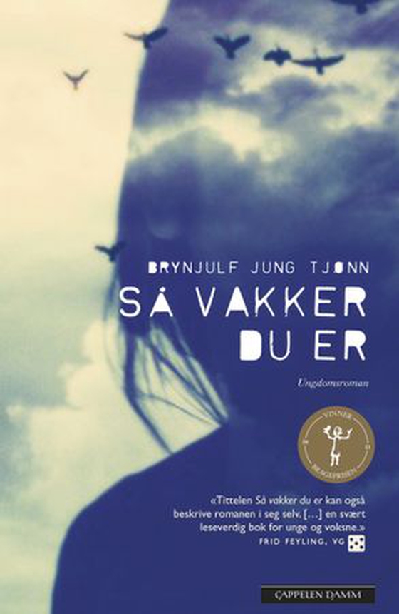 Så vakker du er - ungdomsroman (ebok) av Brynjulf Jung Tjønn