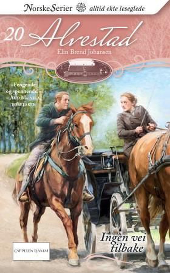 Ingen vei tilbake (ebok) av Elin Brend Johansen