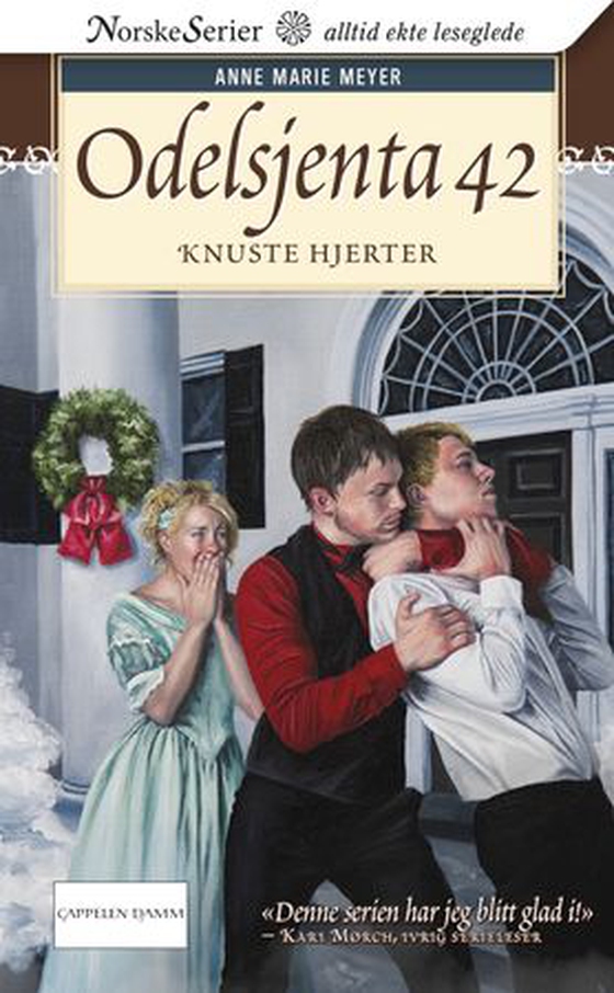 Knuste hjerter (ebok) av Anne Marie Meyer
