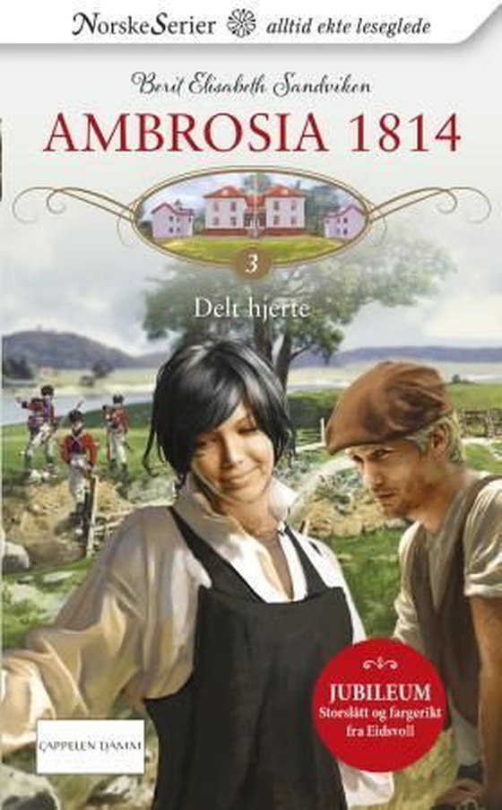 Delt hjerte (ebok) av Berit Elisabeth Sandviken