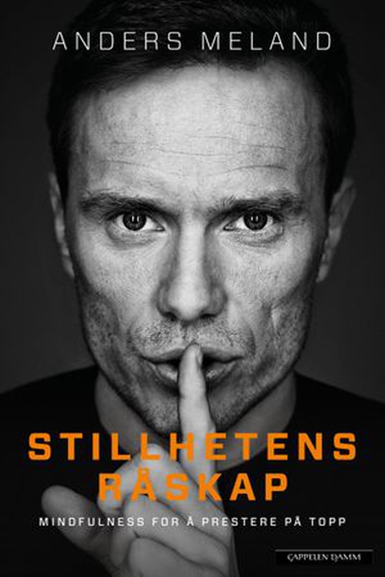 Stillhetens råskap