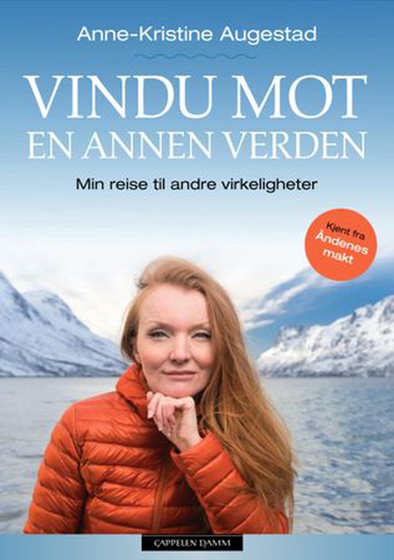 Vindu mot en annen verden