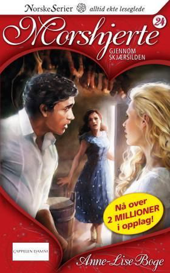 Gjennom skjærsilden (ebok) av Anne-Lise Boge