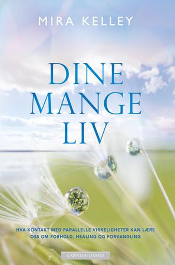 Dine mange liv - hva kontakt med parallelle virkeligheter kan lære oss om forhold, healing og forvandling (ebok) av Mira Kelley