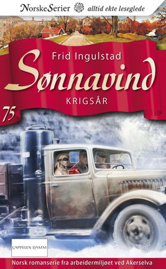 Krigsår (ebok) av Frid Ingulstad