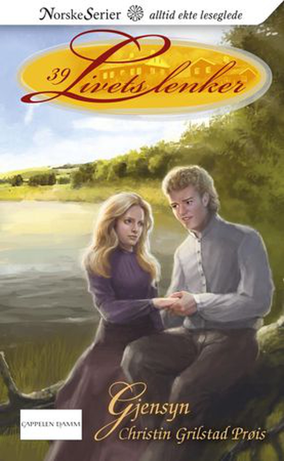 Gjensyn (ebok) av Christin Grilstad Prøis
