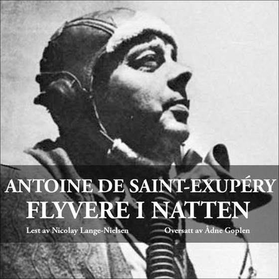 Flyvere i natten