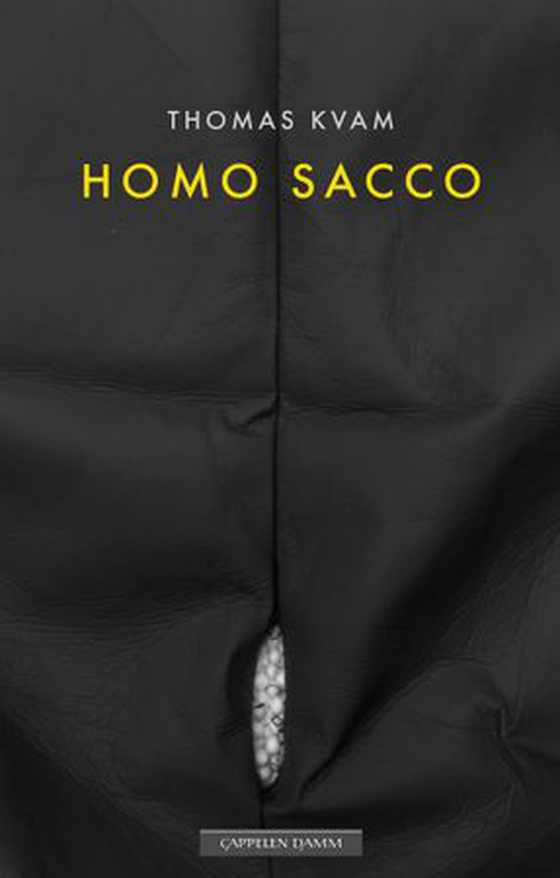 Homo sacco