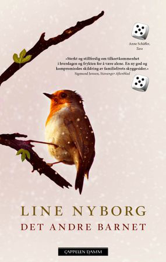 Det andre barnet - roman (ebok) av Line Merethe Nyborg