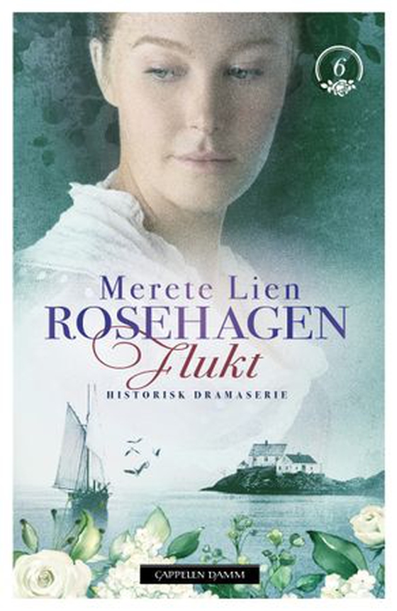 Flukt (ebok) av Merete Lien