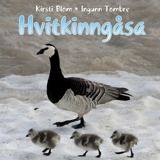 Hvitkinngåsa (lydbok) av Kirsti Blom