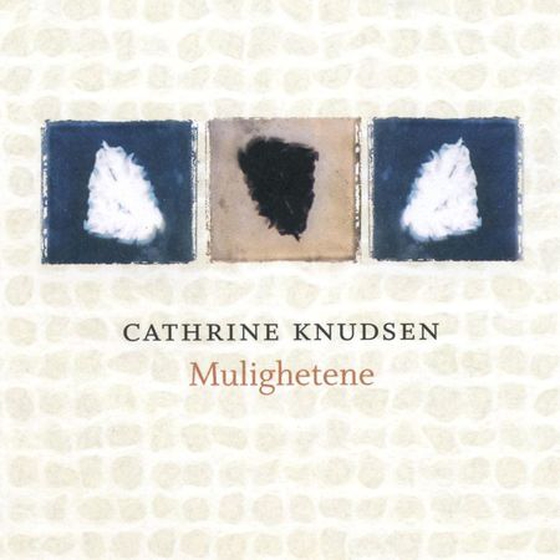 Mulighetene