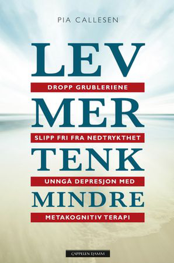 Lev mer tenk mindre