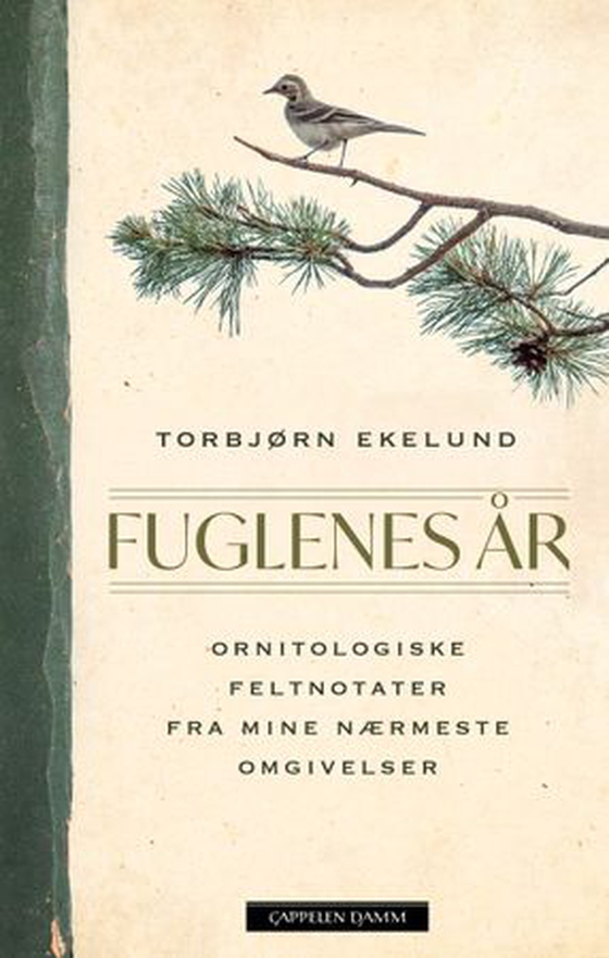 Fuglenes år