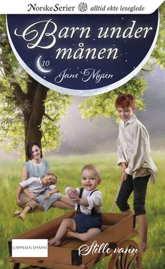 Stille vann (ebok) av Jane Mysen