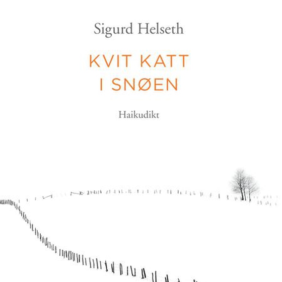 Kvit katt i snøen