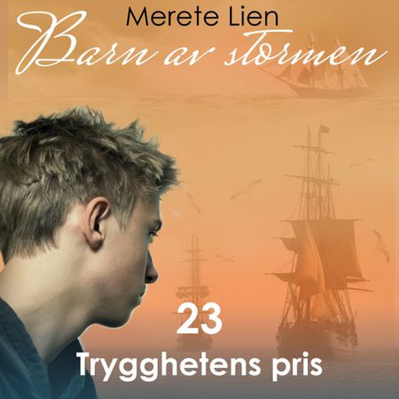 Trygghetens pris (lydbok) av Merete Lien